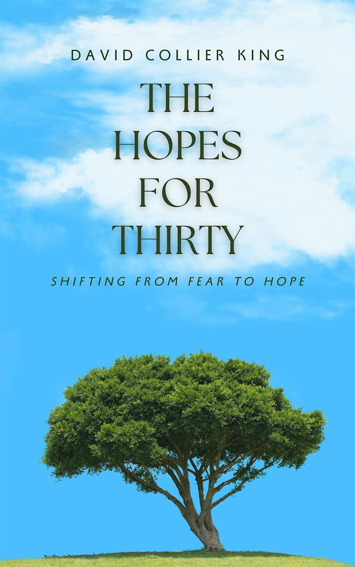 The Hopes for Thirty Book & Business Promotion Mixer