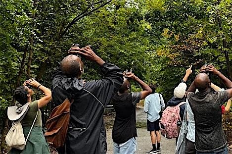 Introductory Birding Talk with the Baltimore Bird Club