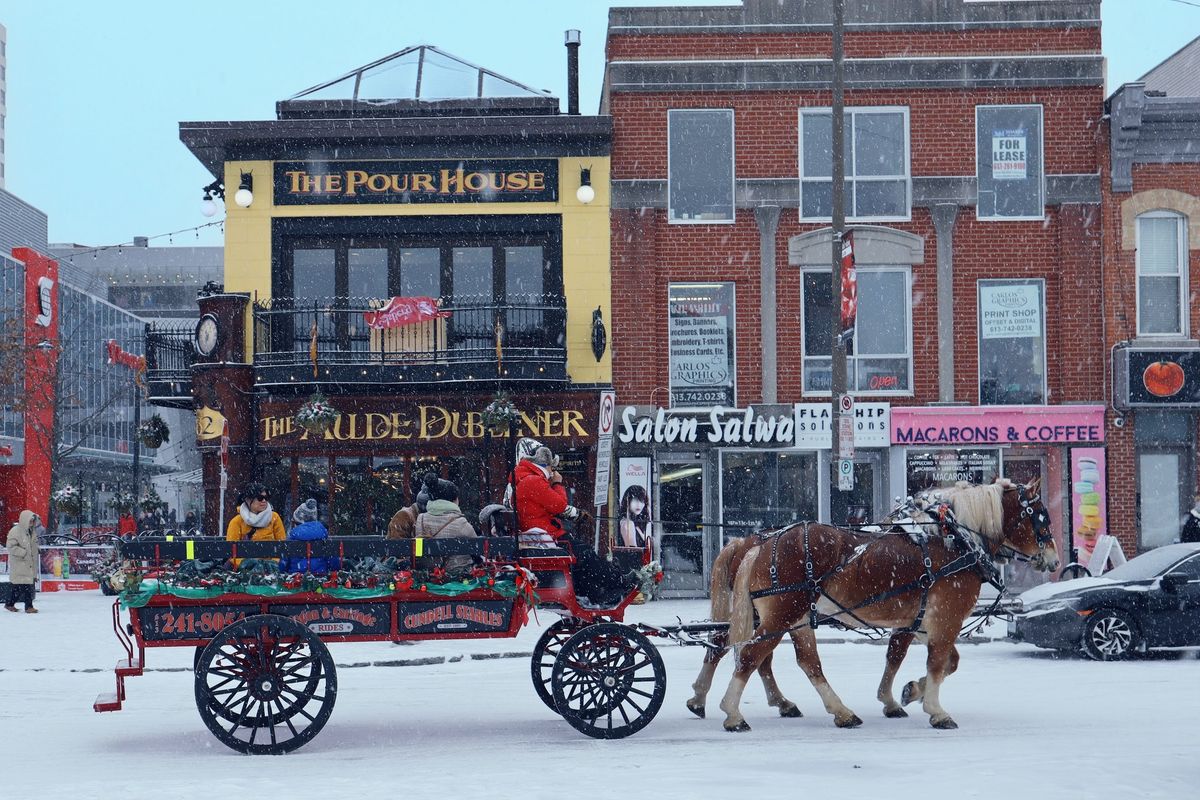 Horse Drawn Carriage Rides | Promenades en cal\u00e8che