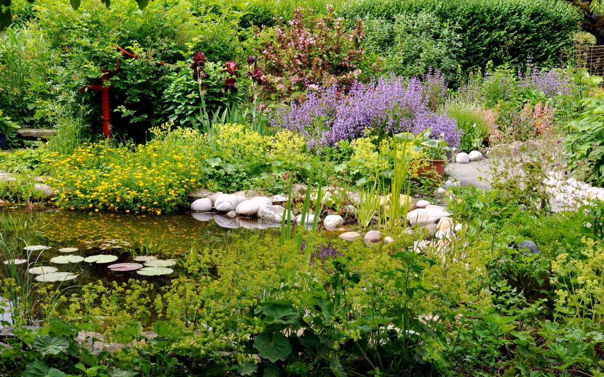 Den romantiske have, sommerfuglene og den vilde natur