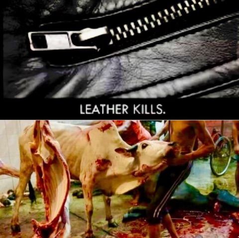 Speak out against leather ! 