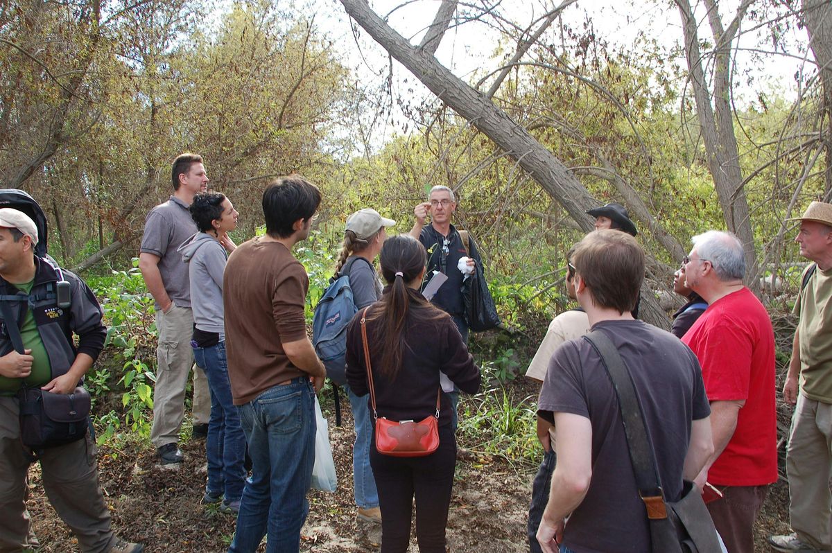 Eco-Friendly Foraging - Plants Walk \/ Wild Food Tasting & Drinks