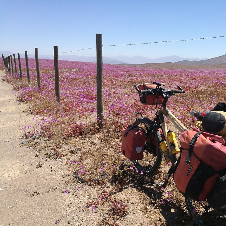 Kate Rawles - Adventure in the Andes: The Life Cycle Biodiversity Bike Ride