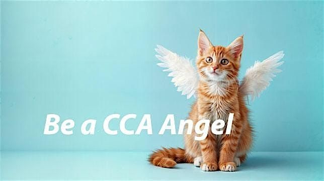 Celebrate Community Cats this Fall