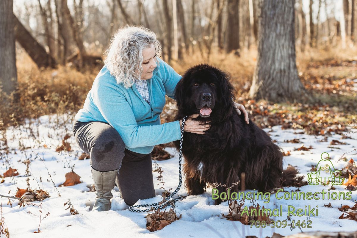 Animal Reiki with Nancy!