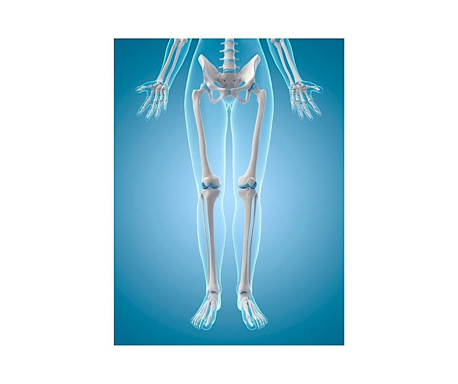 Hip Stability Practice