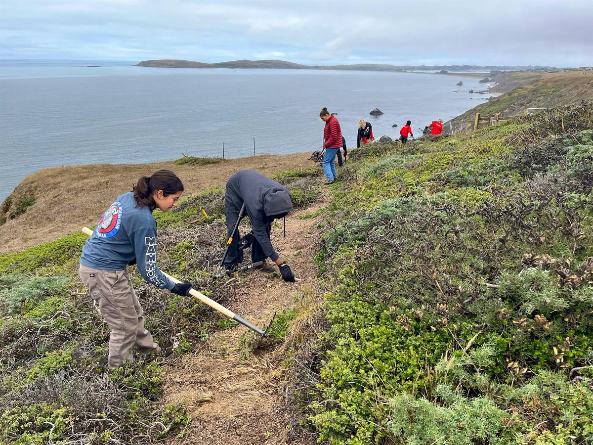 Stewardship Day at Jenner Headlands Preserve
