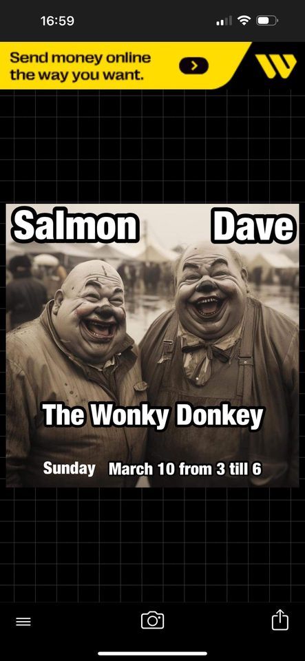 Salmon Dave play The Wonky