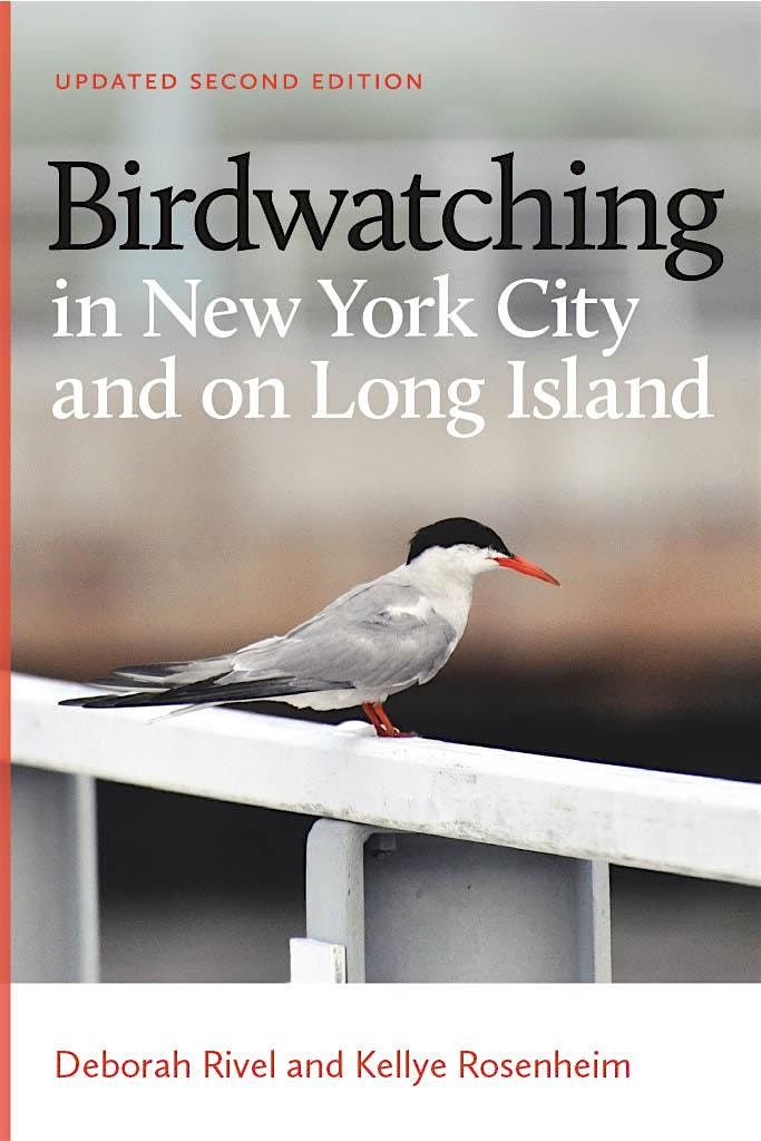 Birdwatching in New York City and on Long Island: an Author Talk