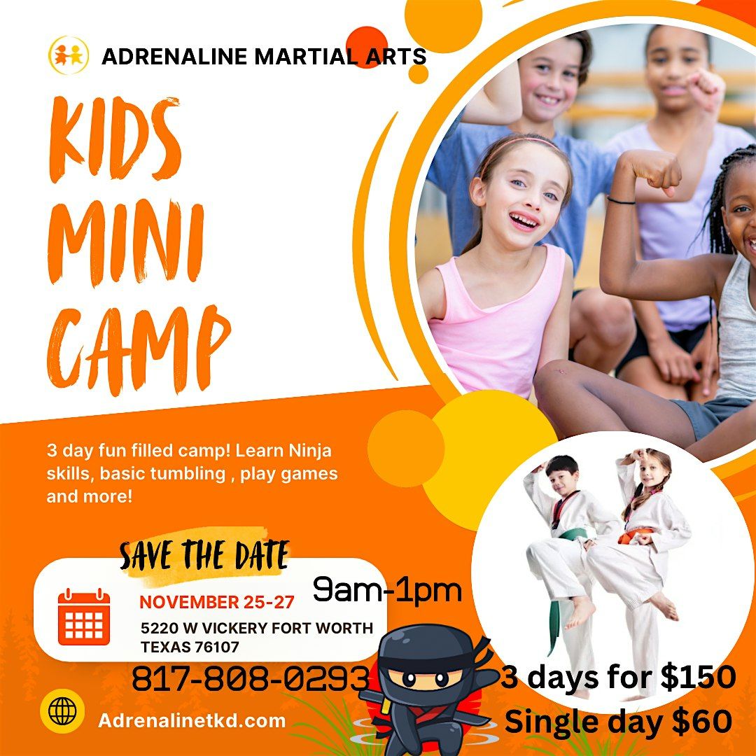 Kids Mini Camp - Martial Arts and Tumbling