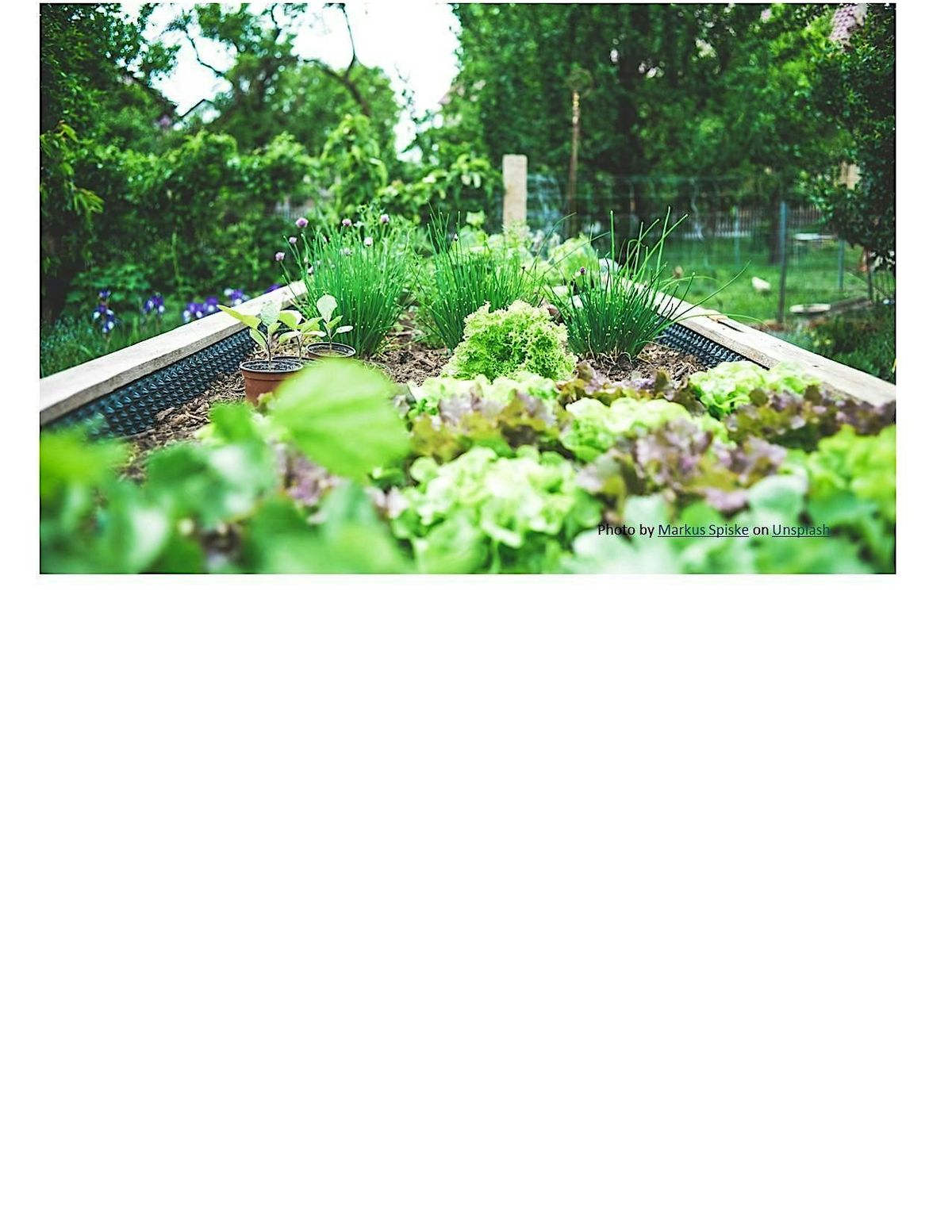 Frederick County Master Gardener: Planning Your Veggie Garden (Online Only)