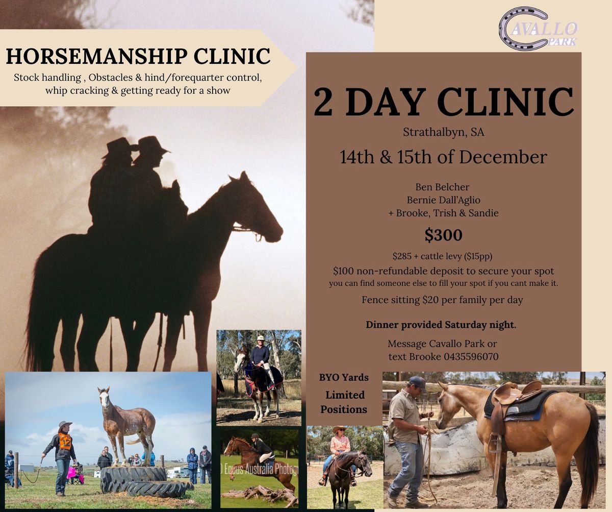 Horsemanship Clinic 