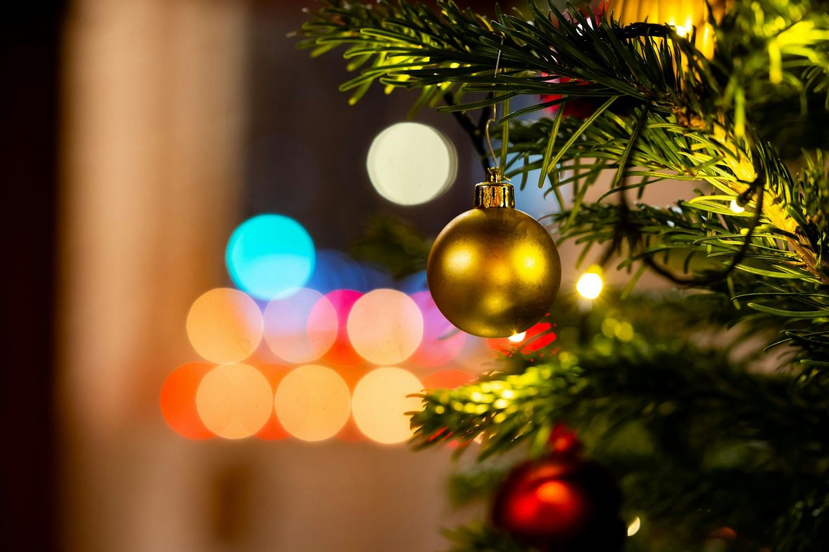 Carols for All \u2014 The Animals