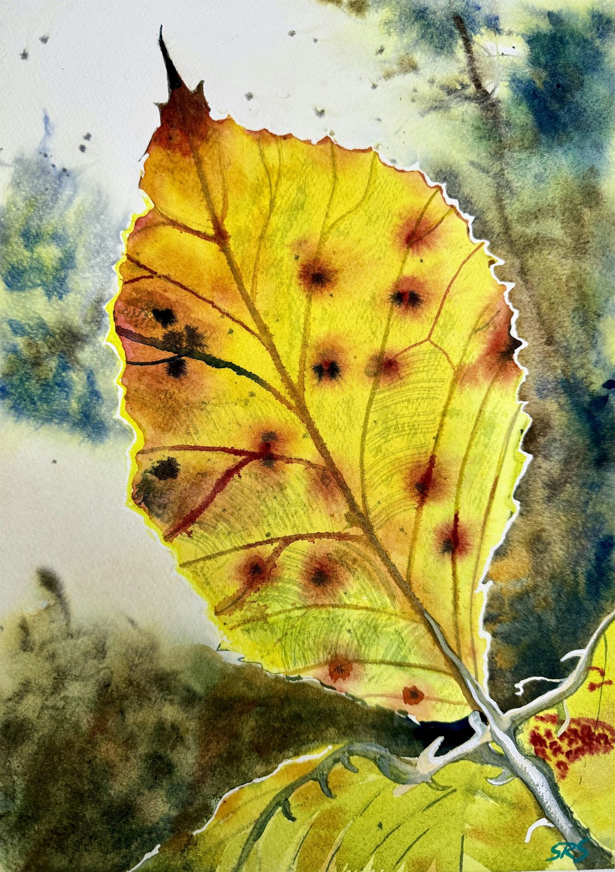 Autumn Leaf Watercolour Workshop