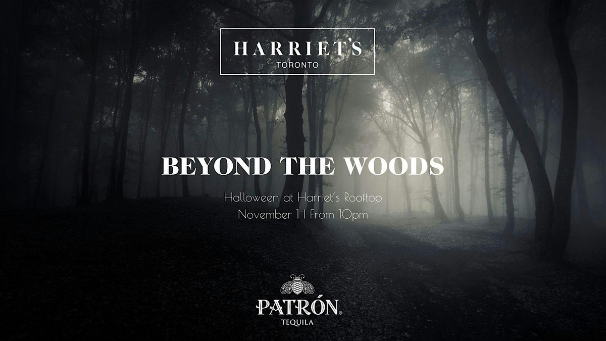 Beyond The Woods, Night 3