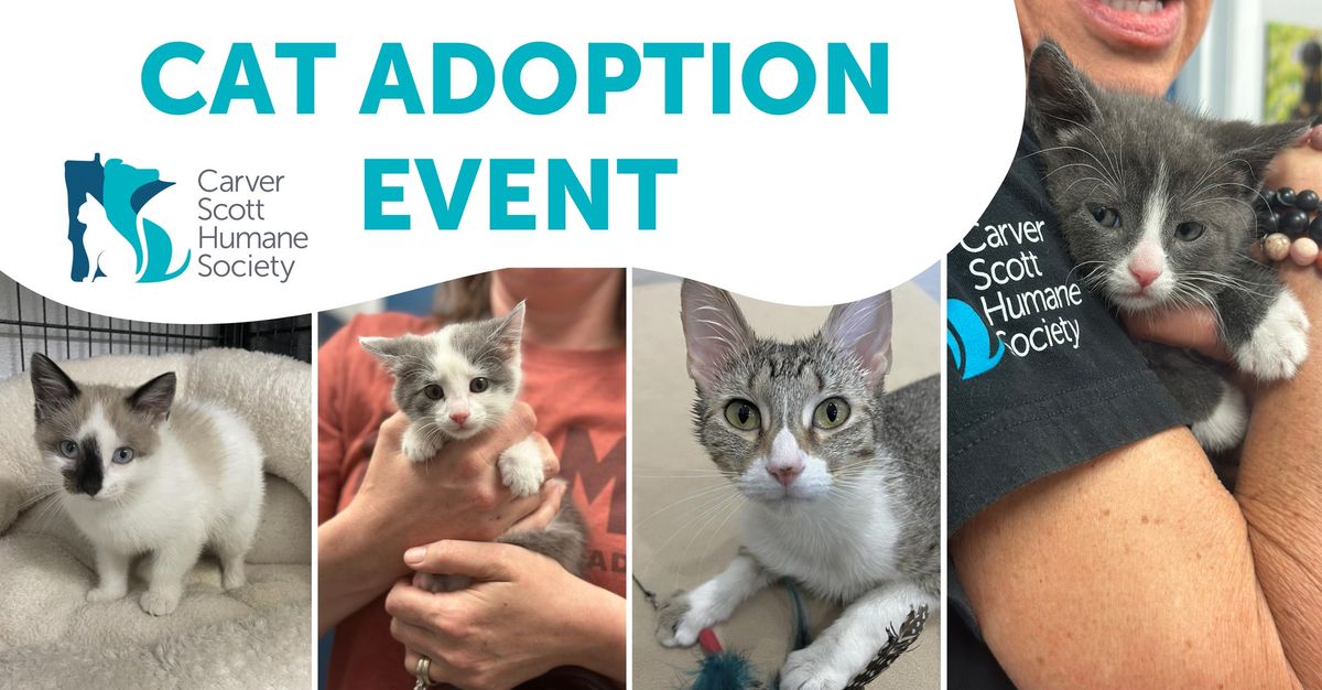 Cat (and Kitten!) Adoption Event