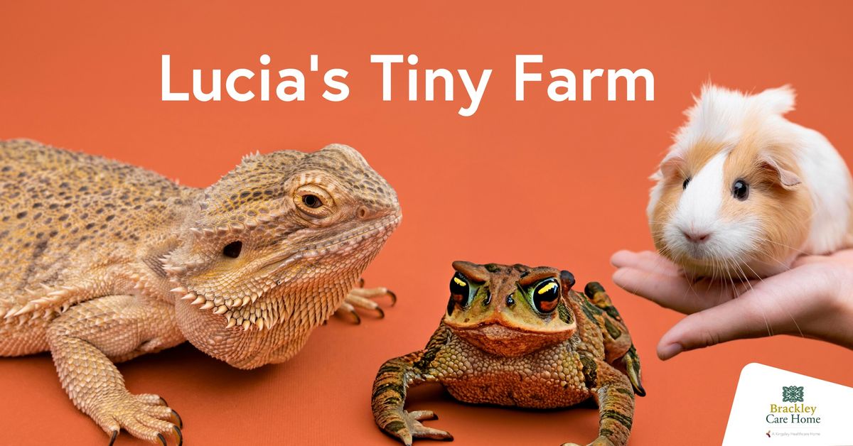 Lucia & Her Farm of Tiny Animals