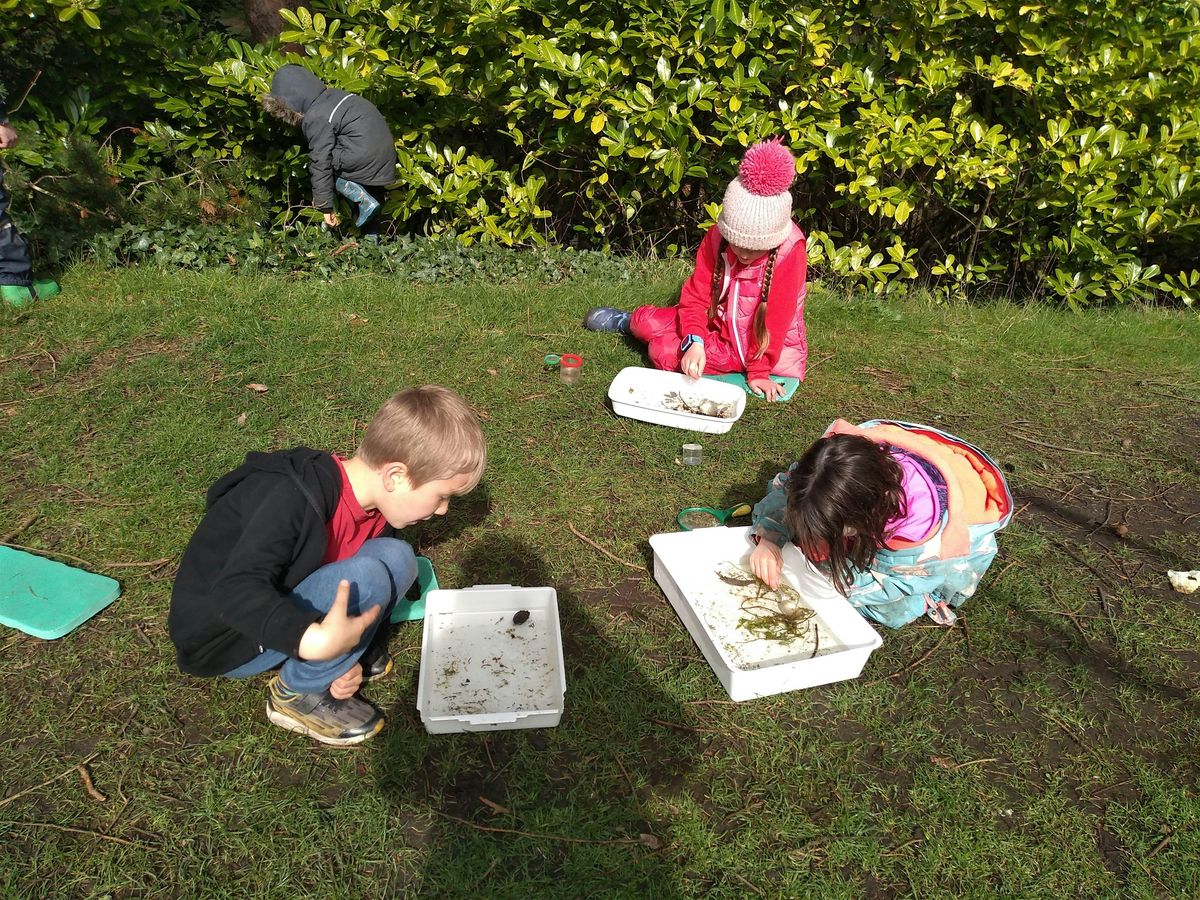 Wild Oaks Outdoor Learning Group