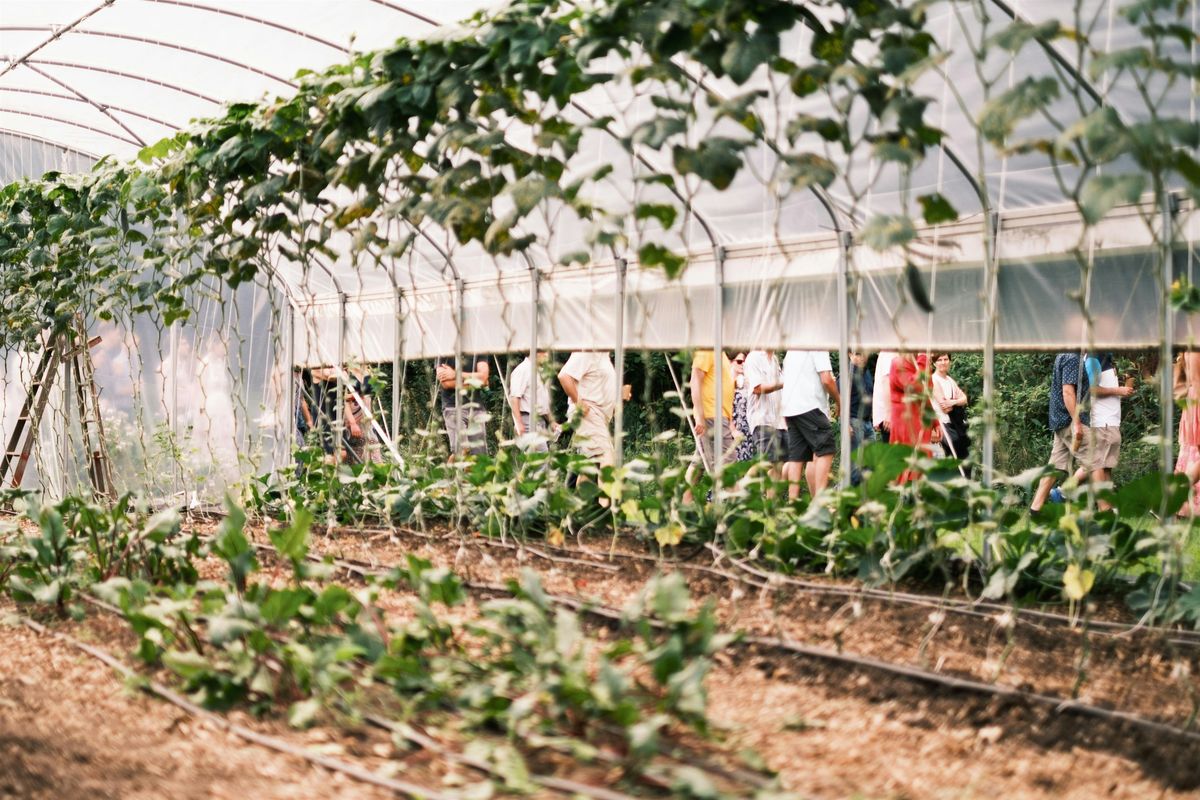 Plated Landscape\u2122:  Spice Field Kitchen Farm-Warming