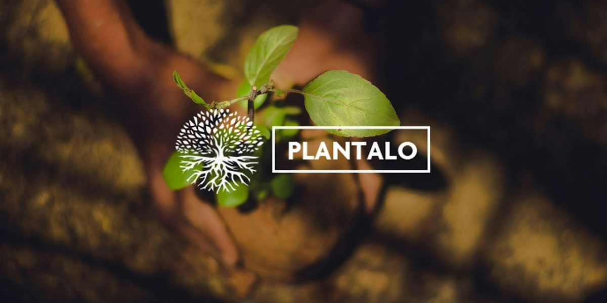 VOLUNTARIADO PL\u00c1NTALO MADRID