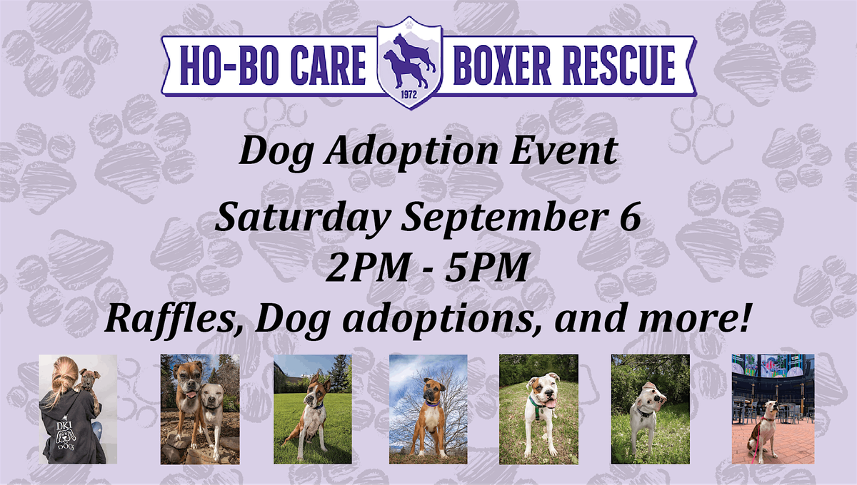 Ho-Bo Care Boxer Adoption Event