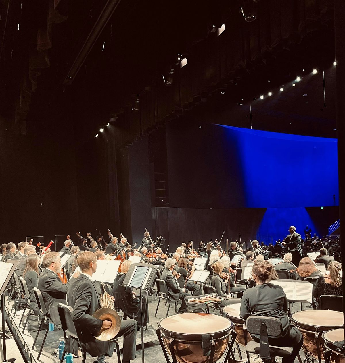 Santa Monica Symphony presents Scenes from Life: Unity (Annual MLK Concert)