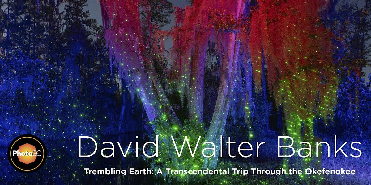 Artist Talk -  David Walter Banks