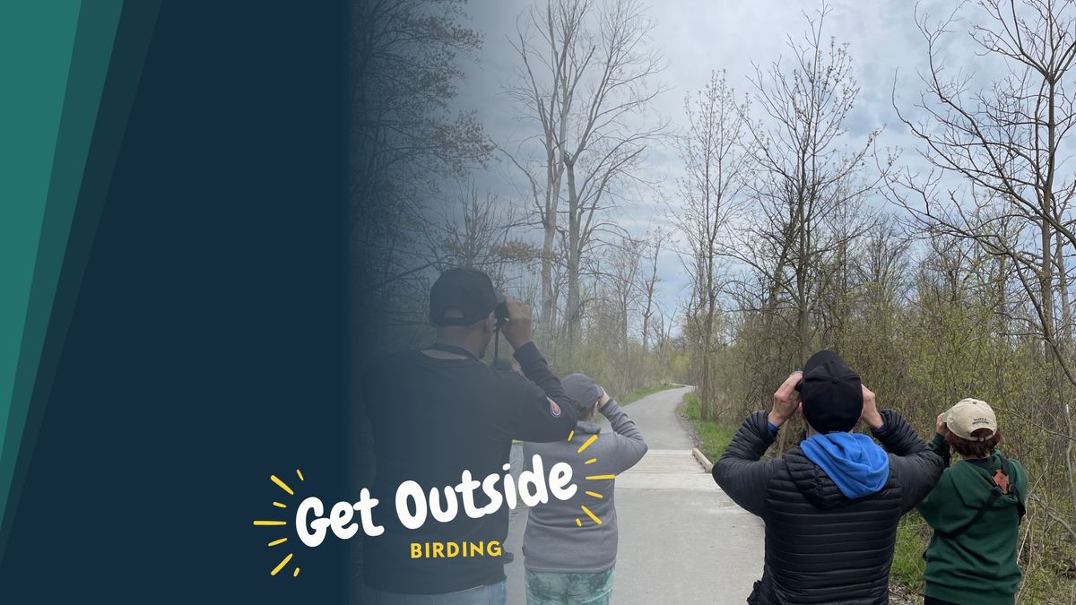 Birding Belle Isle