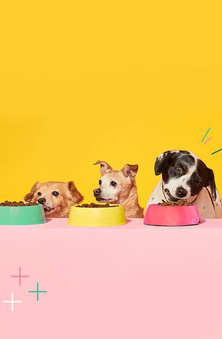 Build Your Own Bowl- Dog Buffet