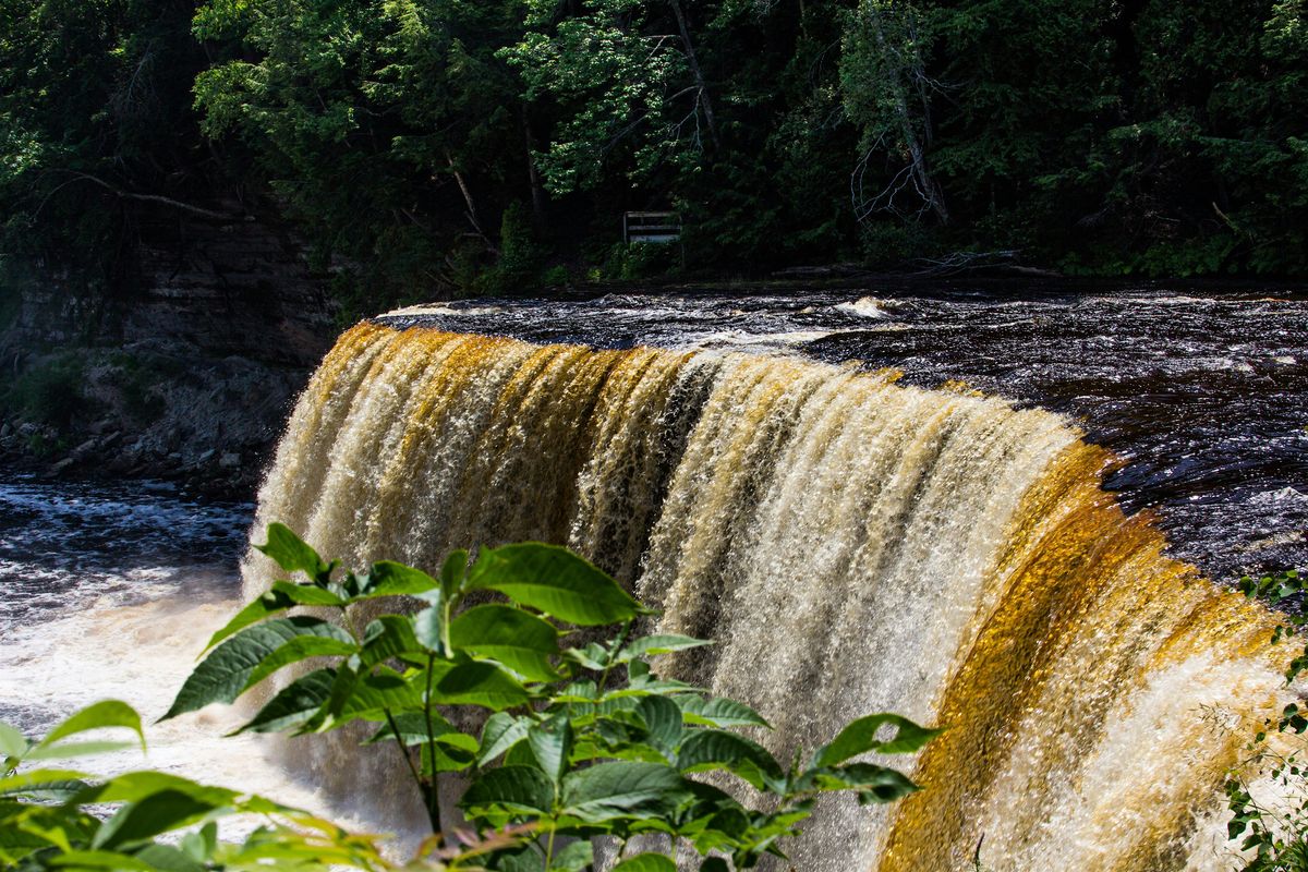 Basic Photography 101