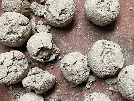 SEED BOMB Artist Talk: NYC & Birthplace of the Manhattan Project