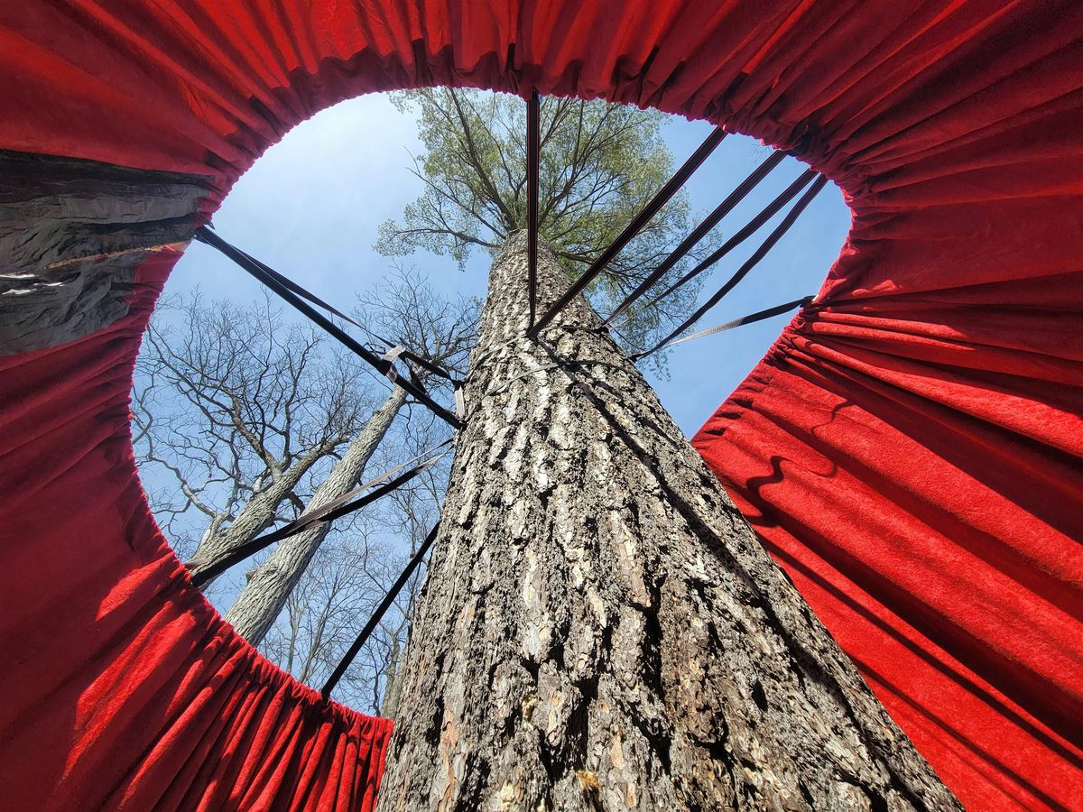 Arborlogues: A Botanical Recital Performance for one Tree