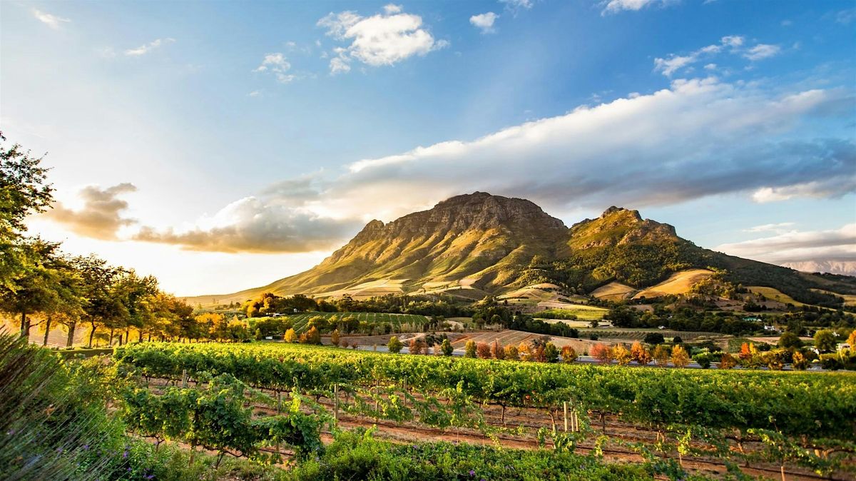 World of Wine Tasting: South Africa with Rainbow's End