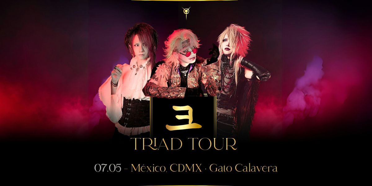 TRIAD Tour ~ Mexico ~