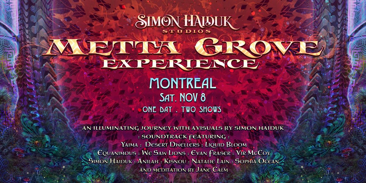 Metta Grove Experience by Simon Haiduk. Montreal, Nov 8