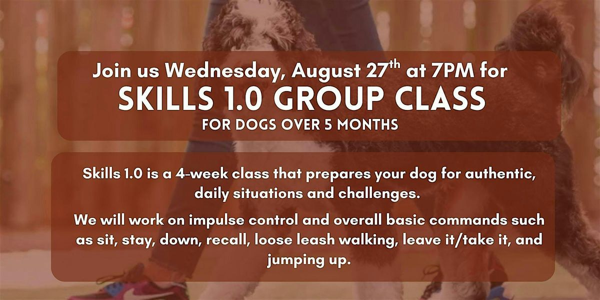 Skills 1.0 Group Class