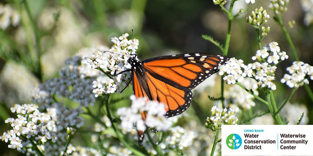 Waterwise Gardening for Butterflies and Birds