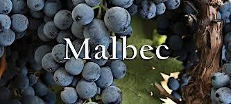 Malbec in Six Glasses: An Interactive Wine Tasting & Occasional Podcast