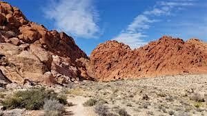 Philanthropy: Clean-Up Day at Red Rock Canyon
