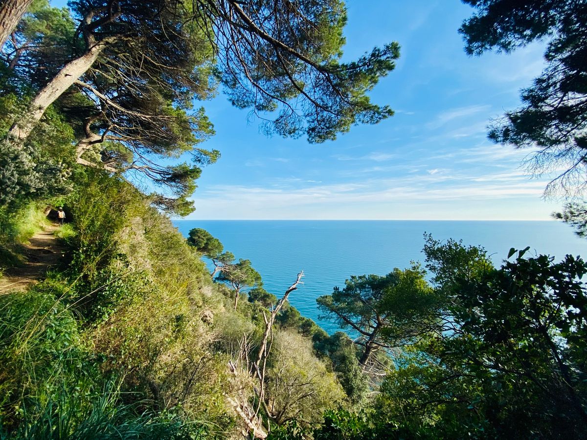 Trekking di Levante: Parco di Portofino