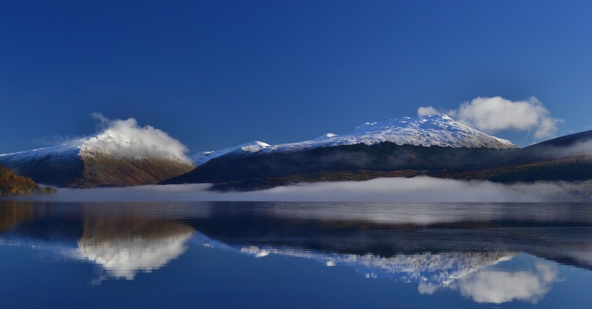 The Tree Shop & Loch Fyne Oysters Deli Cairndow Christmas Discount Evening