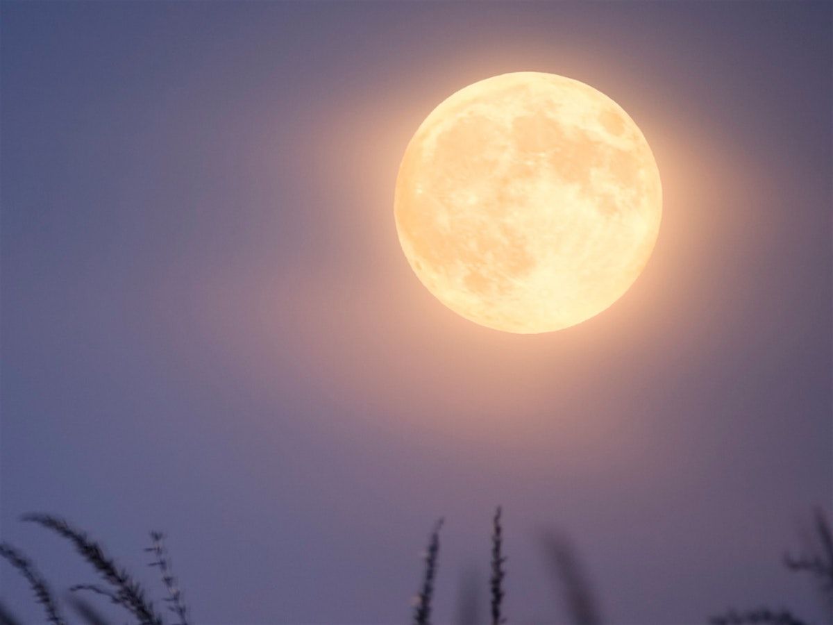Autumn Moon Gratitude Circle: Self-Compassion and Restorative Yoga