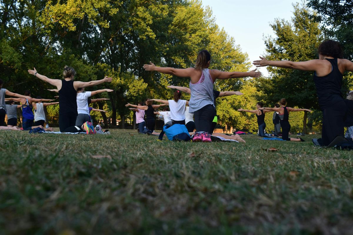 Yoga in Golden Gate Park