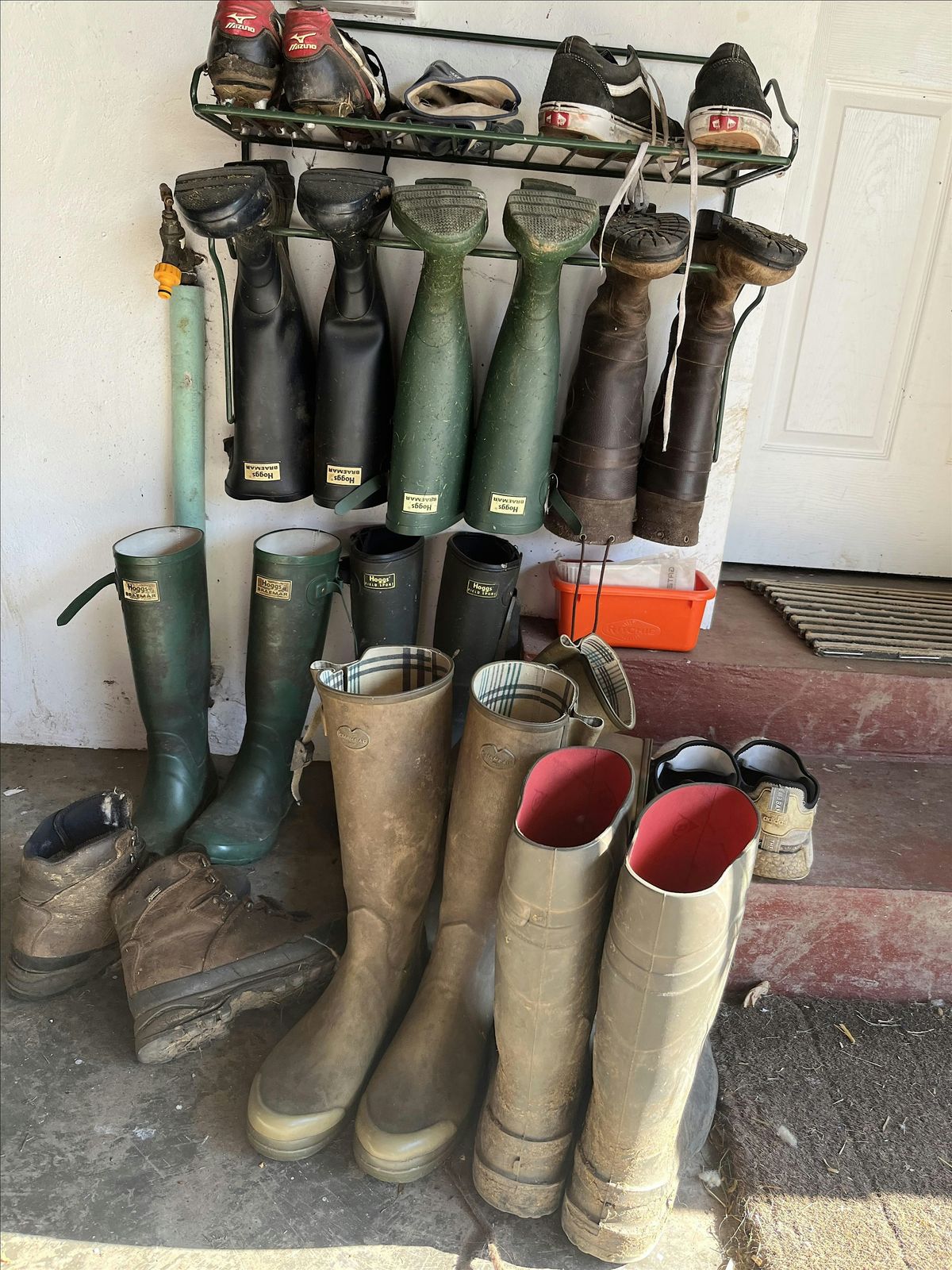 Monitor Farm Scotland NORTH - Discuss the Undiscussabull