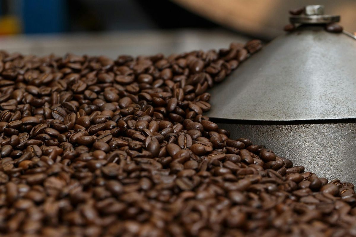 From Chiapas to Your Cup: The human story behind Caf\u00e9 Mam coffee