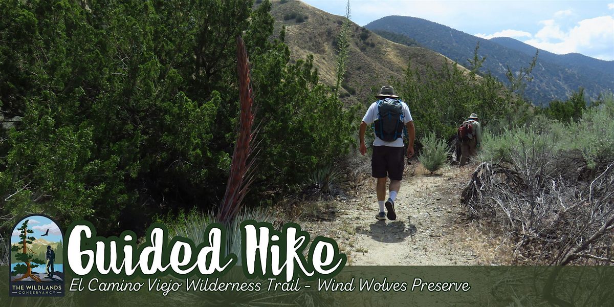 Backcountry Hike: Wilderness Trail - Wind Wolves Preserve