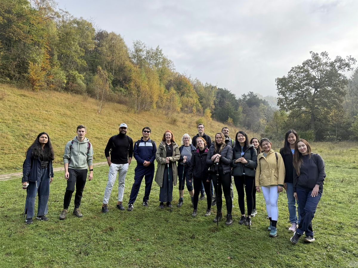 Box Hill: Hike through Surrey\u2019s autumnal woodlands