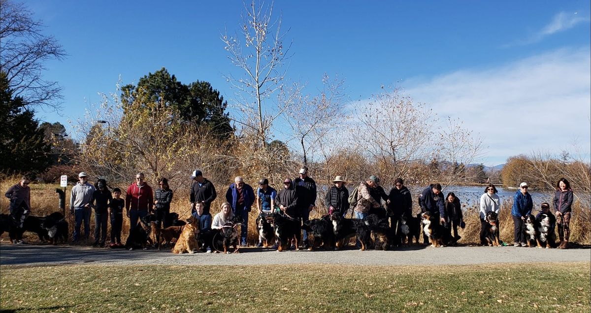 2025 Furry Scurry - Bernese Mountain Dogs and Friends Team