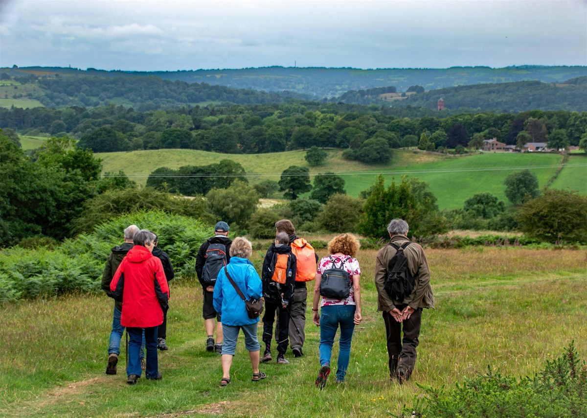 Winter Tree Walk at Biddulph Grange Country Park