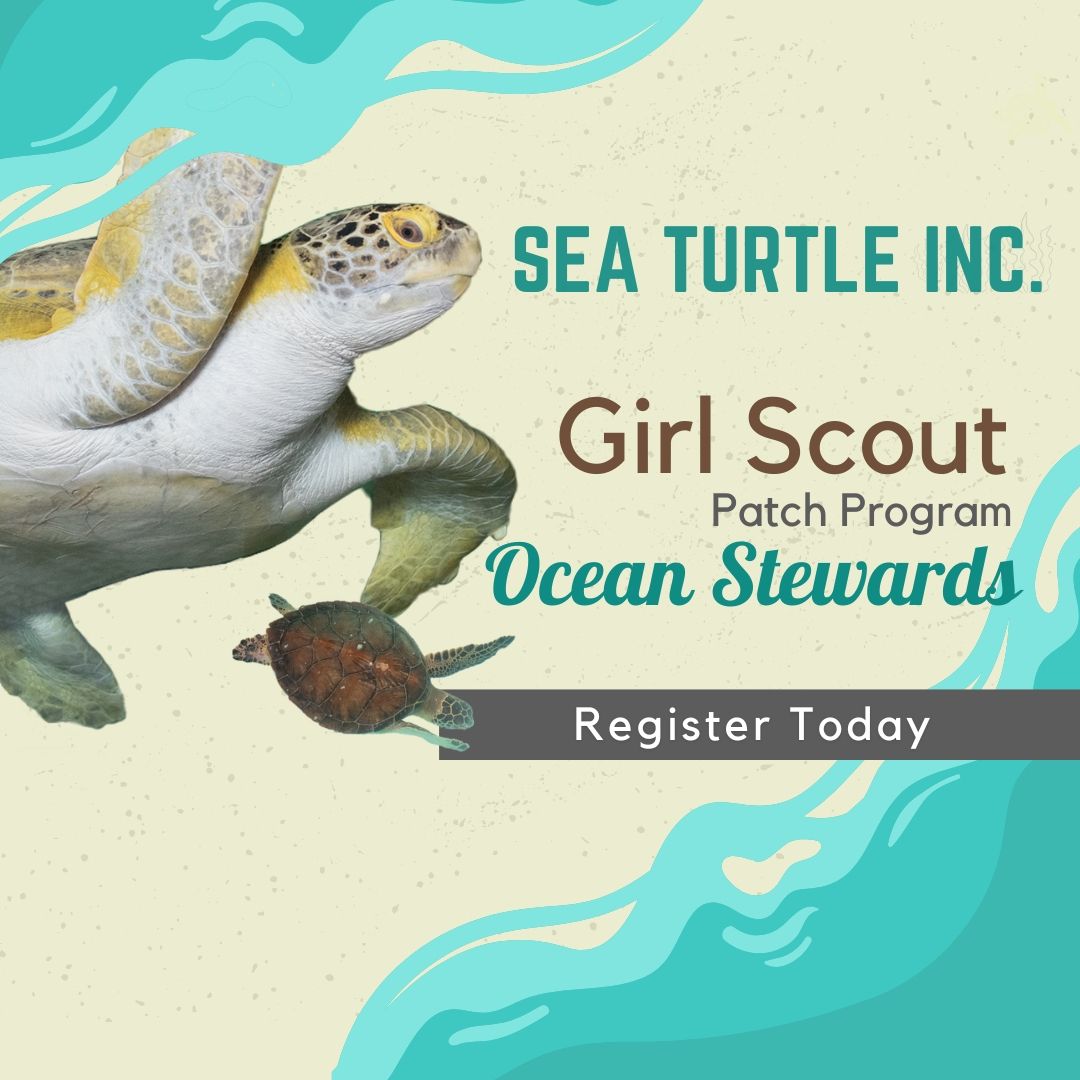 Girl Scout Ocean Stewards - Sea Turtle Inc